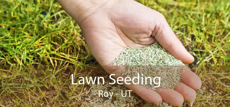 Lawn Seeding Roy - UT