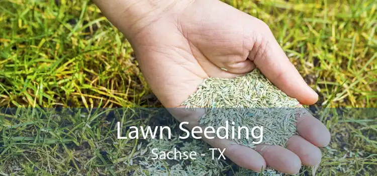 Lawn Seeding Sachse - TX