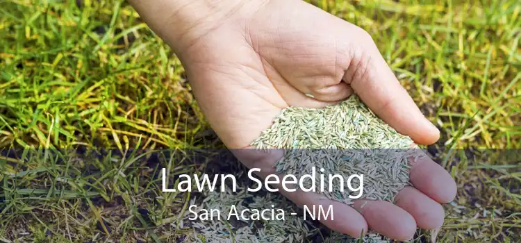Lawn Seeding San Acacia - NM