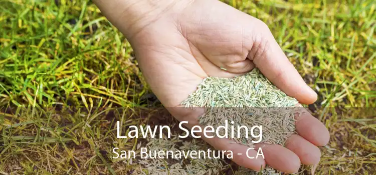 Lawn Seeding San Buenaventura - CA