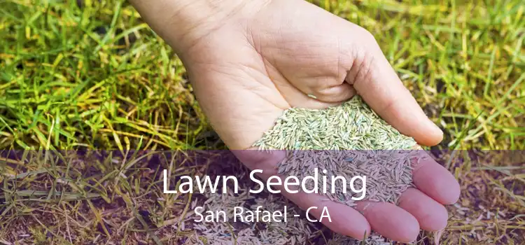 Lawn Seeding San Rafael - CA