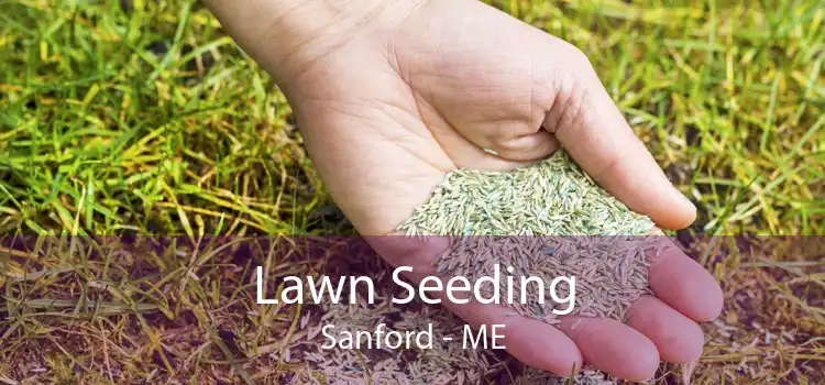 Lawn Seeding Sanford - ME