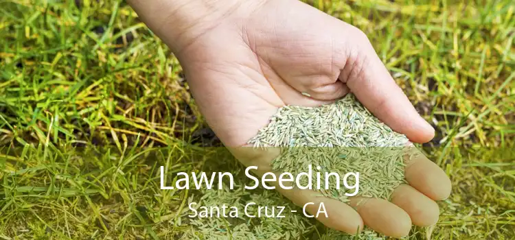 Lawn Seeding Santa Cruz - CA