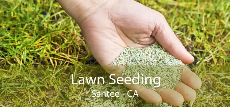 Lawn Seeding Santee - CA