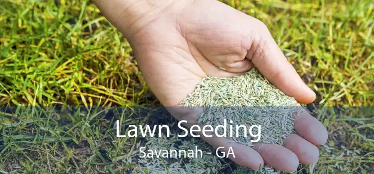 Lawn Seeding Savannah - GA