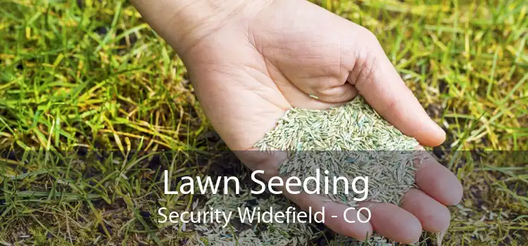 Lawn Seeding Security Widefield - CO