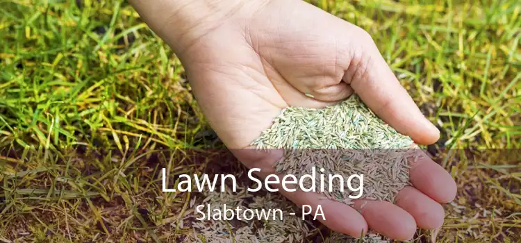 Lawn Seeding Slabtown - PA