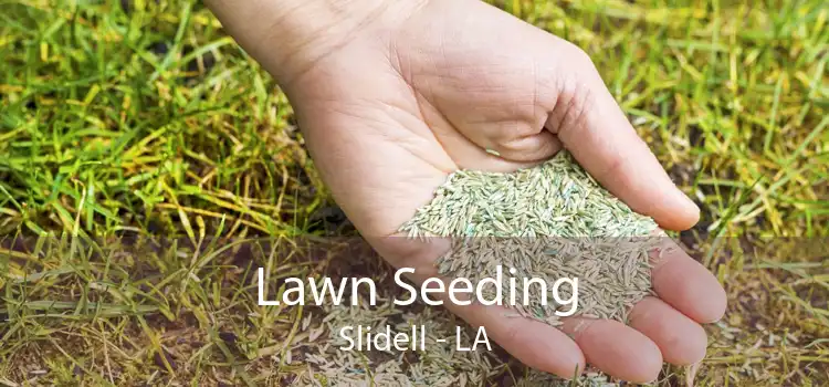 Lawn Seeding Slidell - LA