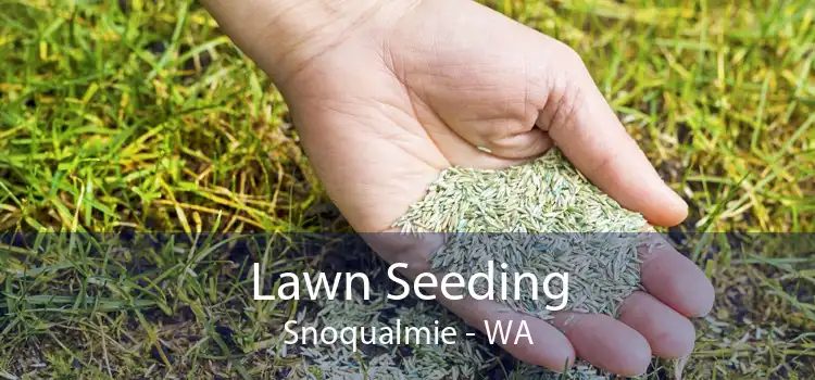  Lawn Seeding Snoqualmie - WA