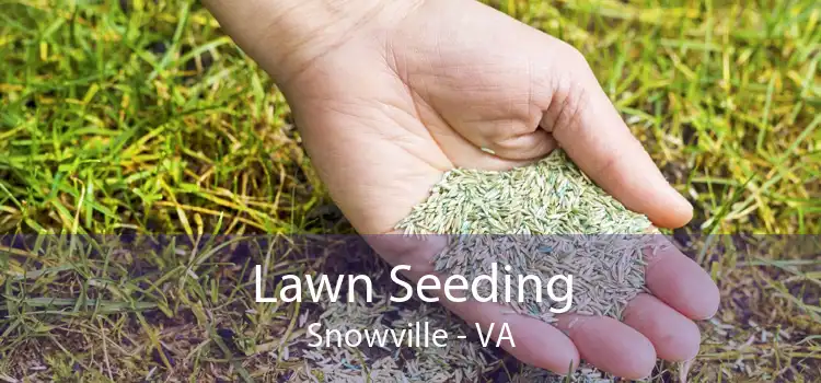 Lawn Seeding Snowville - VA