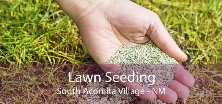 Lawn Seeding South Acomita Village - NM