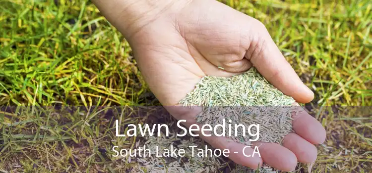 Lawn Seeding South Lake Tahoe - CA