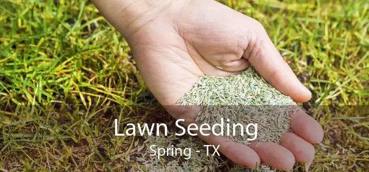 Lawn Seeding Spring - TX