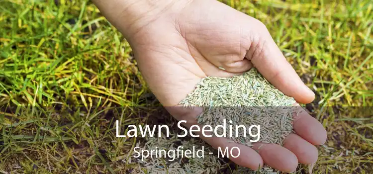 Lawn Seeding Springfield - MO