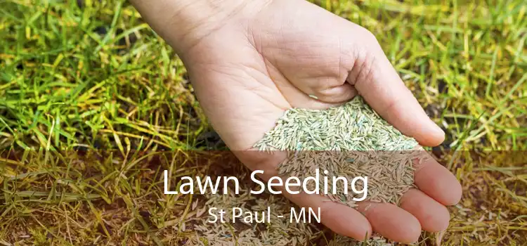 Lawn Seeding St Paul - MN