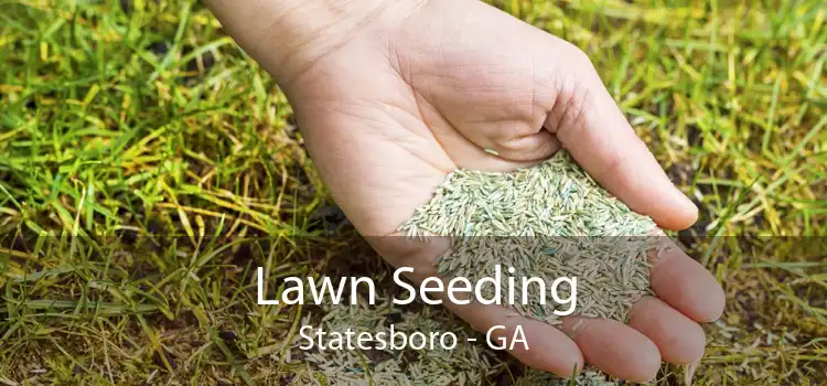 Lawn Seeding Statesboro - GA