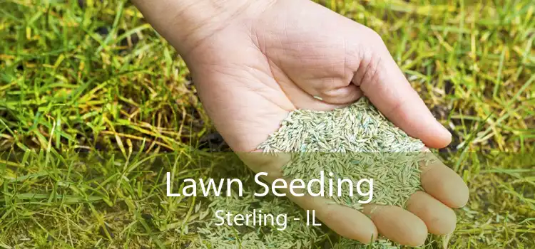 Lawn Seeding Sterling - IL