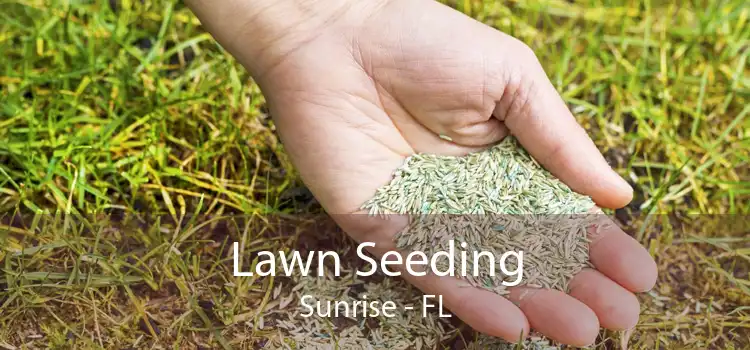 Lawn Seeding Sunrise - FL