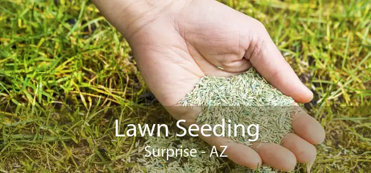 Lawn Seeding Surprise - AZ