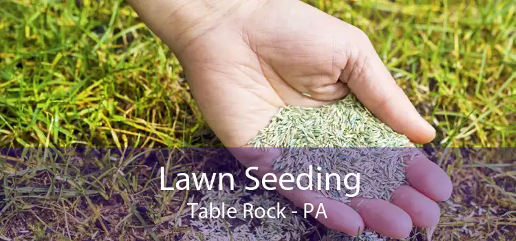 Lawn Seeding Table Rock - PA