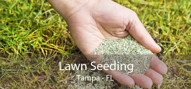 Lawn Seeding Tampa - FL