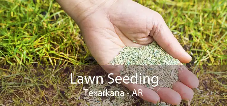 Lawn Seeding Texarkana - AR