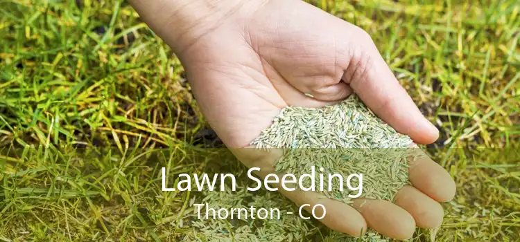 Lawn Seeding Thornton - CO