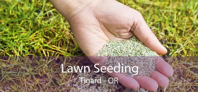 Lawn Seeding Tigard - OR