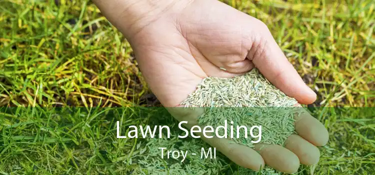 Lawn Seeding Troy - MI
