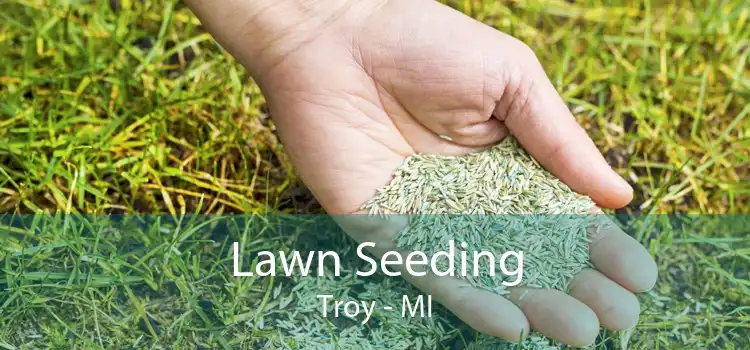 Lawn Seeding Troy - MI