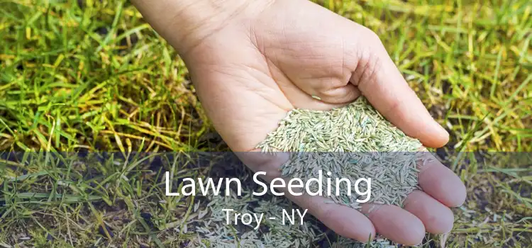 Lawn Seeding Troy - NY