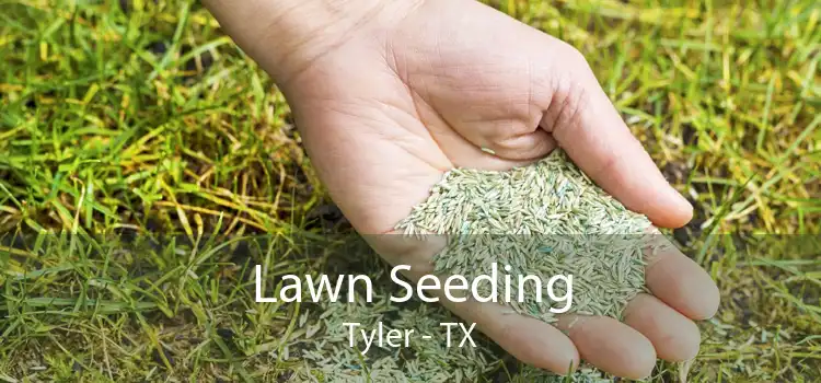 Lawn Seeding Tyler - TX