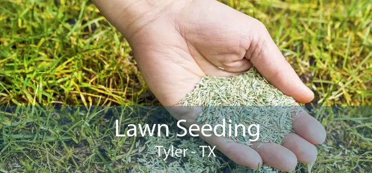Lawn Seeding Tyler - TX