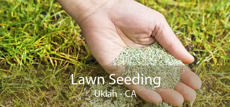 Lawn Seeding Ukiah - CA