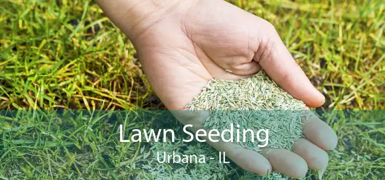 Lawn Seeding Urbana - IL