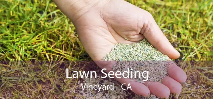  Lawn Seeding Vineyard - CA