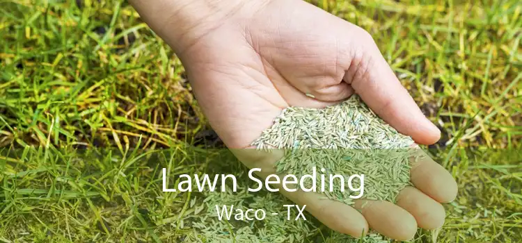 Lawn Seeding Waco - TX