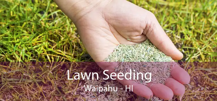 Lawn Seeding Waipahu - HI
