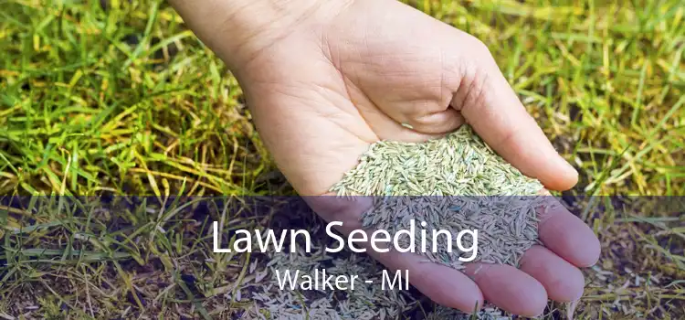 Lawn Seeding Walker - MI