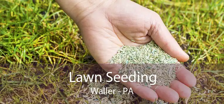 Lawn Seeding Waller - PA