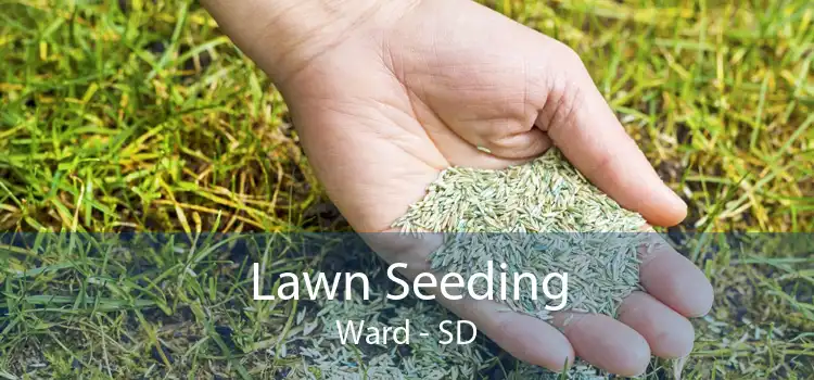 Lawn Seeding Ward - SD