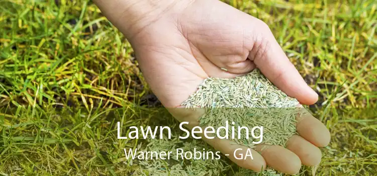 Lawn Seeding Warner Robins - GA