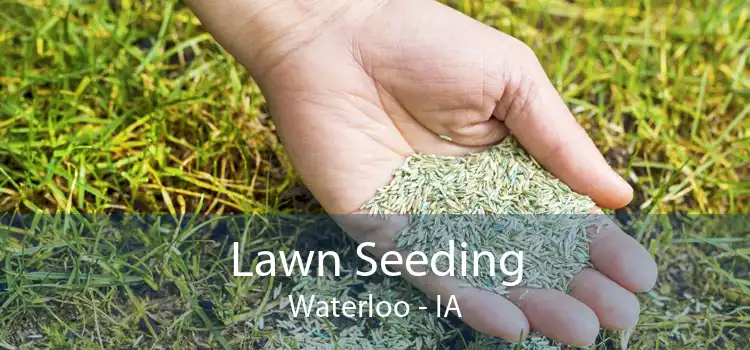 Lawn Seeding Waterloo - IA