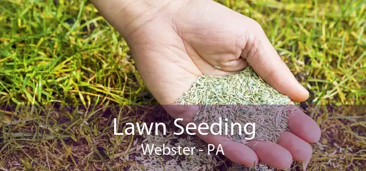  Lawn Seeding Webster - PA