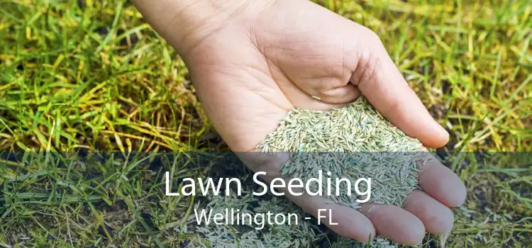 Lawn Seeding Wellington - FL