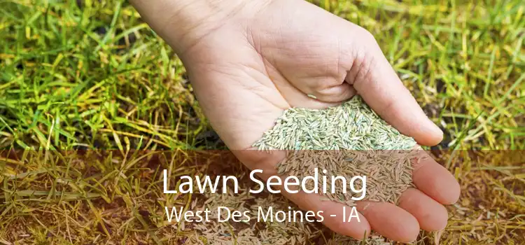 Lawn Seeding West Des Moines - IA