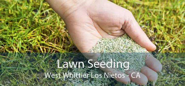 Lawn Seeding West Whittier Los Nietos - CA