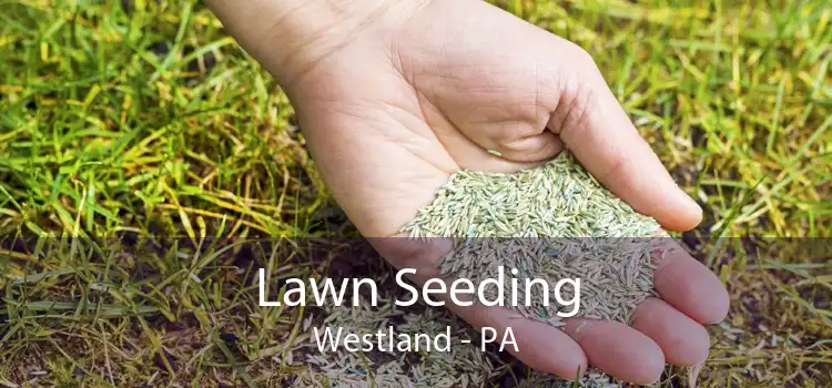  Lawn Seeding Westland - PA