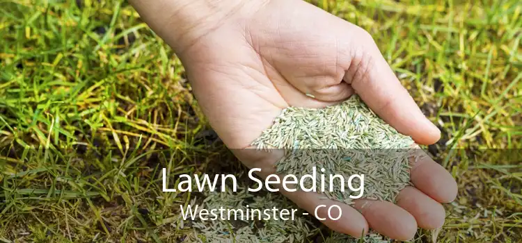 Lawn Seeding Westminster - CO