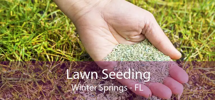 Lawn Seeding Winter Springs - FL